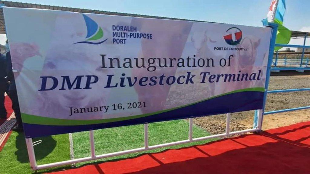 Djibouti in partnership with Ethiopia have inaugurated a livestock terminal at the Doraleh Multi-Purpose Port, an extension of the Port of Djibouti. Source: https://www.foodbusinessafrica.com/djibouti-partners-with-ethiopia-in-opening-livestock-exclusive-terminal-at-doraleh-multipurpose-port/