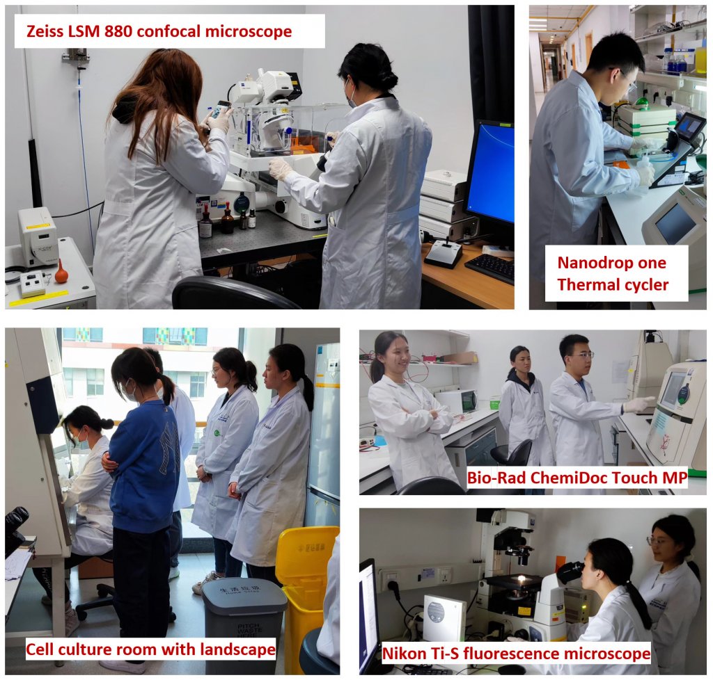 BioSignal Protein Laboratory - Connect @ XJTLU