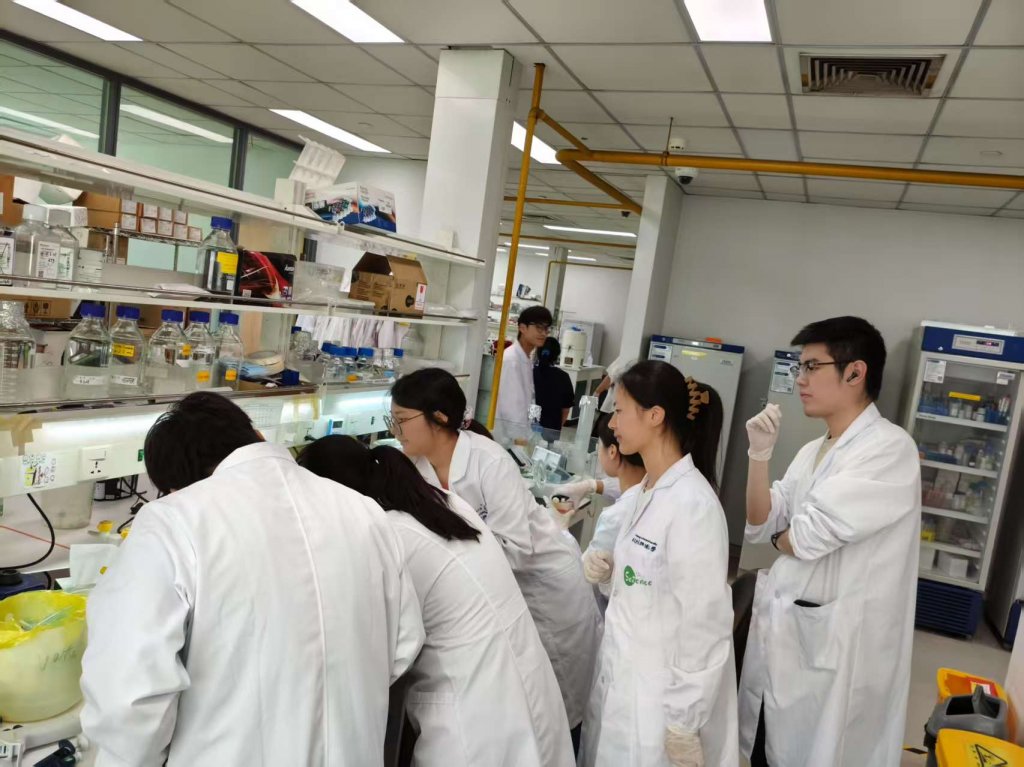 Weixin Image_20250625212350.jpg